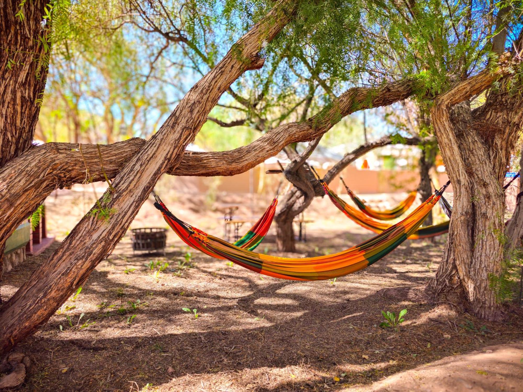 Lodge Ancar Atacama San Pedro De Atacama Extérieur photo